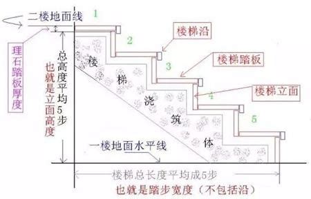 樓梯級高|相關法條